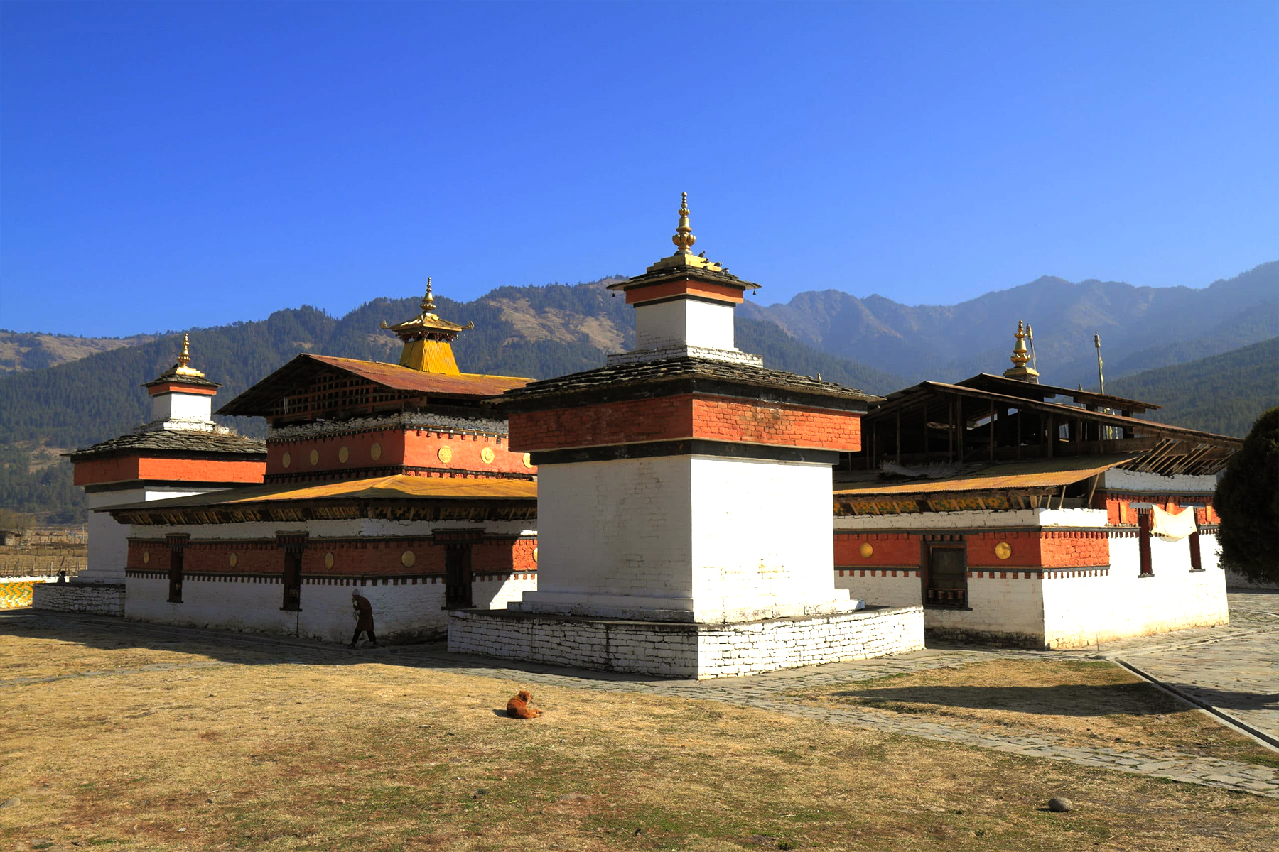 Jambay Lhakhang